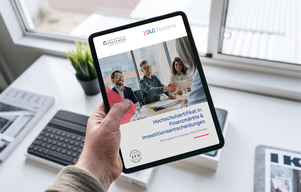 HSF-Finanzmaerkte-und-Investitionsentscheidungen-Infofolder-Mockup