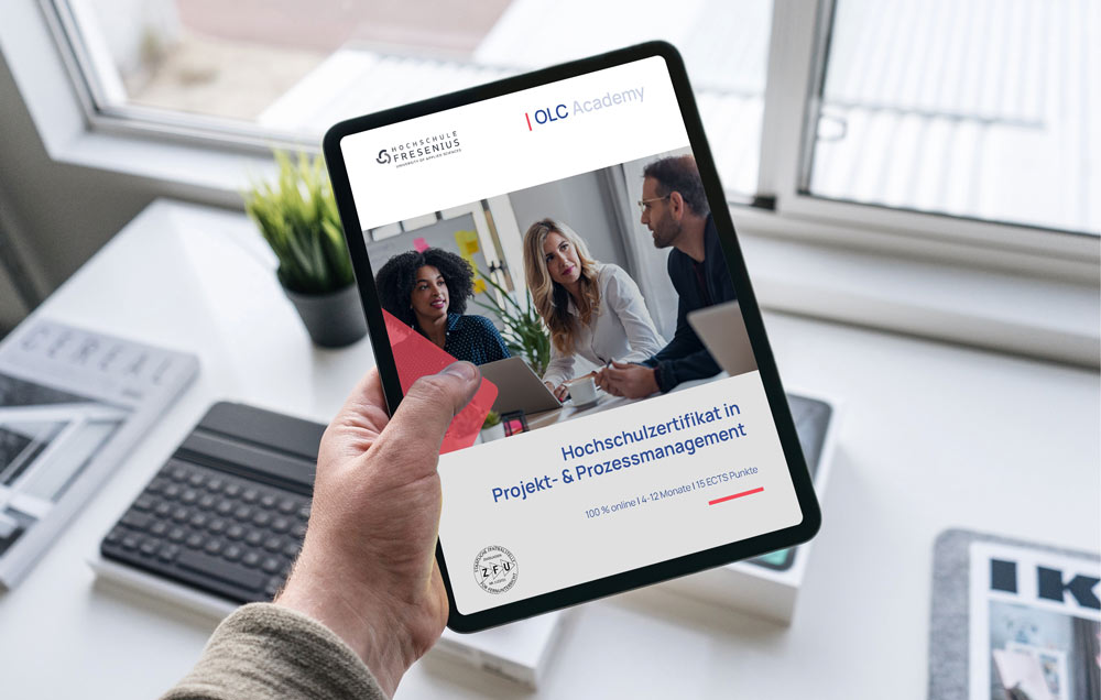 HSF-Projekt-und-Prozessmanagement-Infofolder-Mockup